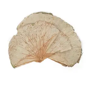 Top export dried lotus leaves from authentic supplier at competitive price