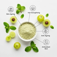 Poudre d'Amla Verte de Qualité Cosmétique Premium Glee Impex 50g Lavable pour la Croissance Capillaire Vente en Gros Emballage Personnalisé Meilleur Prix