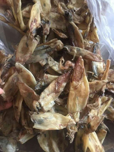 Calamar bebé crudo sin sal de primera elección que exporta a granel sin aditivos al por mayor sopa de calamar seco de calidad superior - Product Image 6