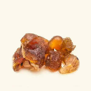 Aceite Esencial de Copaiba 100% Puro de Grado Terapéutico para Uso Corporal, Hidratante, Aclarante, Reafirmante, Nutritivo, para Pérdida de Peso - Product Image 2