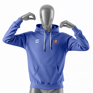 Sweat à capuche sportif personnalisé 100% polyester pour équipes |   Sweat-shirts respirants à séchage rapide, antibactériens, grande taille, pour club - Product Image 1