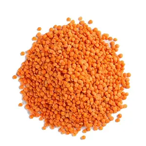 Lentil organik kualitas tinggi/lentil merah terpisah tersedia untuk dijual dengan harga murah