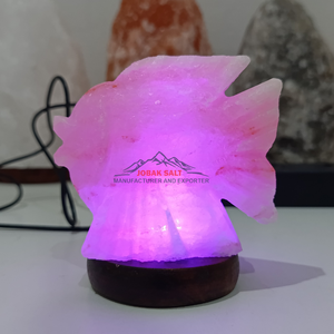 Wholesale Carved Himalayan Salt USB Lamp Fish Shaped Crystal Rock for Home Decor <strong>Air</strong> Purifier Gift From Pakistan