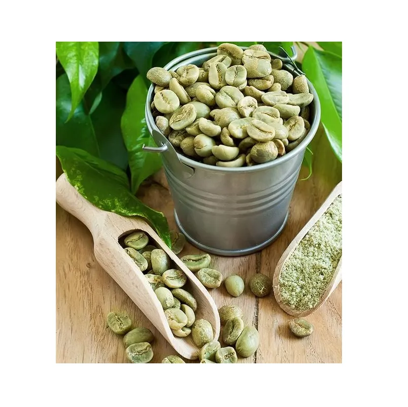 최고의 공급 업체 베트남 고품질 녹색 커피 콩 MEKONG 농업 식품 저렴한 가격