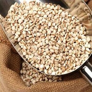 Prêt pour l'exportation de grains d'orge séchés à prix modéré - Product Image 2