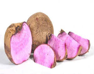 MORCEAUX DE YAM VIOLET LUMINEUX À CHAÎNE FROIDE SCELLÉE SOUS SOUS VIDE EXPORTATION DE RÉCOLTE FRAÎCHE - Product Image 3
