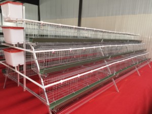 New Condition Automatic Battery Egg Layer Chicken <b>Cages</b> for Poultry Farm House Chicken <b>Cages</b> for Sale - Product Image 3