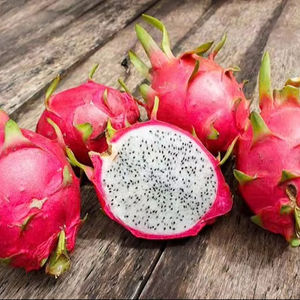 แก้วมังกรเวียดนามคุณภาพสูง สดใหม่ คัดสรรพิเศษ อายุการเก็บรักษา 60 วัน TECHMIFOOD สำหรับผู้นำเข้าระหว่างประเทศทั่วโลก - Product Image 1