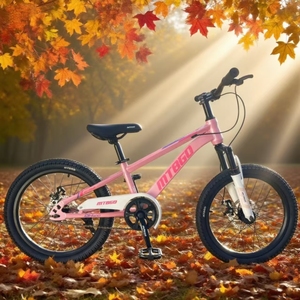 2026 La Tua Migliore Scelta per il Ciclismo: Bicicletta da Montagna 20 Pollici con Telaio in Acciaio ad Alto Tenore di Carbonio, Forcella Ammortizzata e Freno a Disco - Nuova Disponibilità - Product Image 2