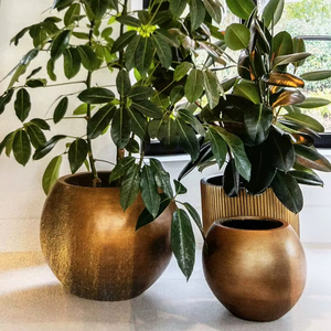 Maceta Decorativa de Metal Dorado, Perfecta para Plantar Flores, Hierbas o Suculentas, para una Belleza y Color Duraderos - Product Image 1