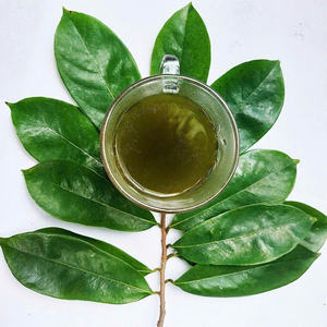 Salud global: polvo de Guanábana al por mayor de Vietnam - Product Image 4