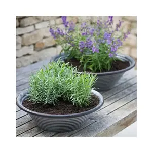 Plateau de jardinière en métal en fer fait à la main de concepteur pour la décoration de jardin - Product Image 2