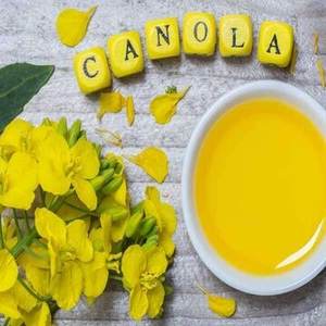 น้ำมันคาโนลาบริสุทธิ์เกรดพรีเมียมออร์แกนิค 100% ความบริสุทธิ์สูง อายุการเก็บรักษา 24 เดือน มีจำหน่าย - Product Image 5