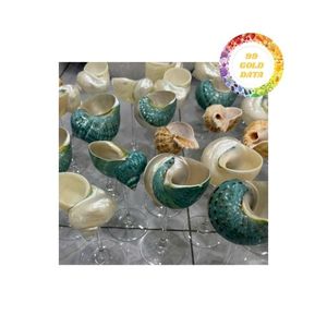 Copa decorativa de conchas marinas naturales para vino, fiesta Tropical, mesa de boda costera, centro de mesa, copa de océano hecha a mano única - Product Image 5