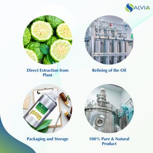 Aceite de bergamota 100% puro y natural al por mayor a granel precio más bajo embalaje personalizado - Product Image 4