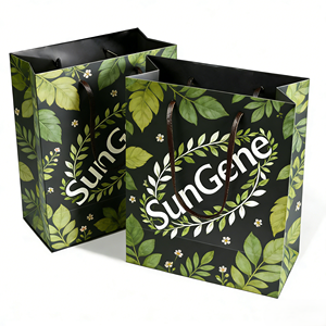 Sac cadeau en papier kraft écologique personnalisé avec poignée pour emballage cosmétique de luxe - Product Image 6