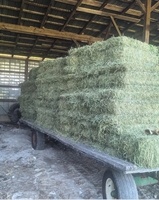 Cubes de foin d'alfalfa de qualité alimentaire certifiée Premium, 100% naturel, riche en protéines, 2% d'humidité, durée de conservation de 2 ans, pour chevaux, chiens, poissons, porcs