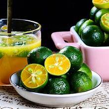 JUGO DE KUMQUAT CONGELADO A BASE DE PLANTAS CON VITAMINA C NATURAL APOYO INMUNE BEBIDA DE ETIQUETA LIMPIA - Product Image 3