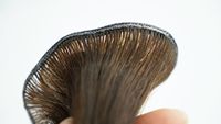Extensions de cheveux vietnamiens 100% vierges Remy, marque Caha, haute qualité, invisibles, double trame, cuticules intactes, lisses