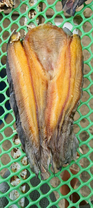 VAN BACH TUNG VIETNAM Poisson-chat entier fumé séché, riche en protéines, aliment sain, salé, emballé sous vide, qualité supérieure, 100% naturel, décaféiné - Product Image 6
