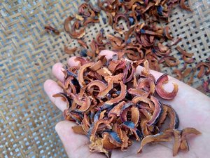 มังคุดแห้งเปลือกมังคุด - Product Image 3