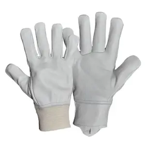 Breathable Grain Leather Gloves Wholesale Price Safe Driving Gloves for Export Sale from Indian Supplier