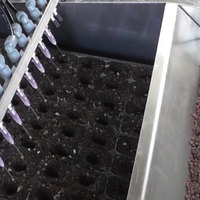 Semoir manuel sous vide en acier inoxydable Agro Kari avec 14 buses interchangeables pour légumes, 50 plateaux/heure, semis de précision