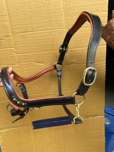 Equestrian Horse Anatomic Leather <b>Braided</b> Halter Western and English Style Nylon and PP <b>Accessory</b> for Horse Rugs - Product Image 5