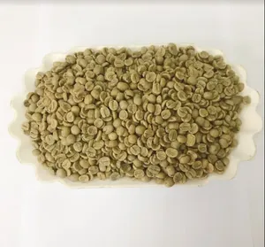 เมล็ดกาแฟเวียดนามอาราบิก้า 100% คุณภาพพิเศษ กระบวนการธรรมชาติ เกรด A+ บรรจุถุง ราคาแข่งขัน คุณภาพสูง - Product Image 6