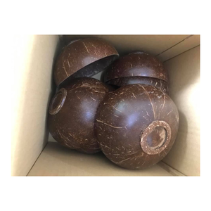 Tazón de cáscara de coco reutilizable con espacio interior profundo para ensaladas de fideos de sopa y atractivo de vajilla amigable con la tierra - Product Image 1