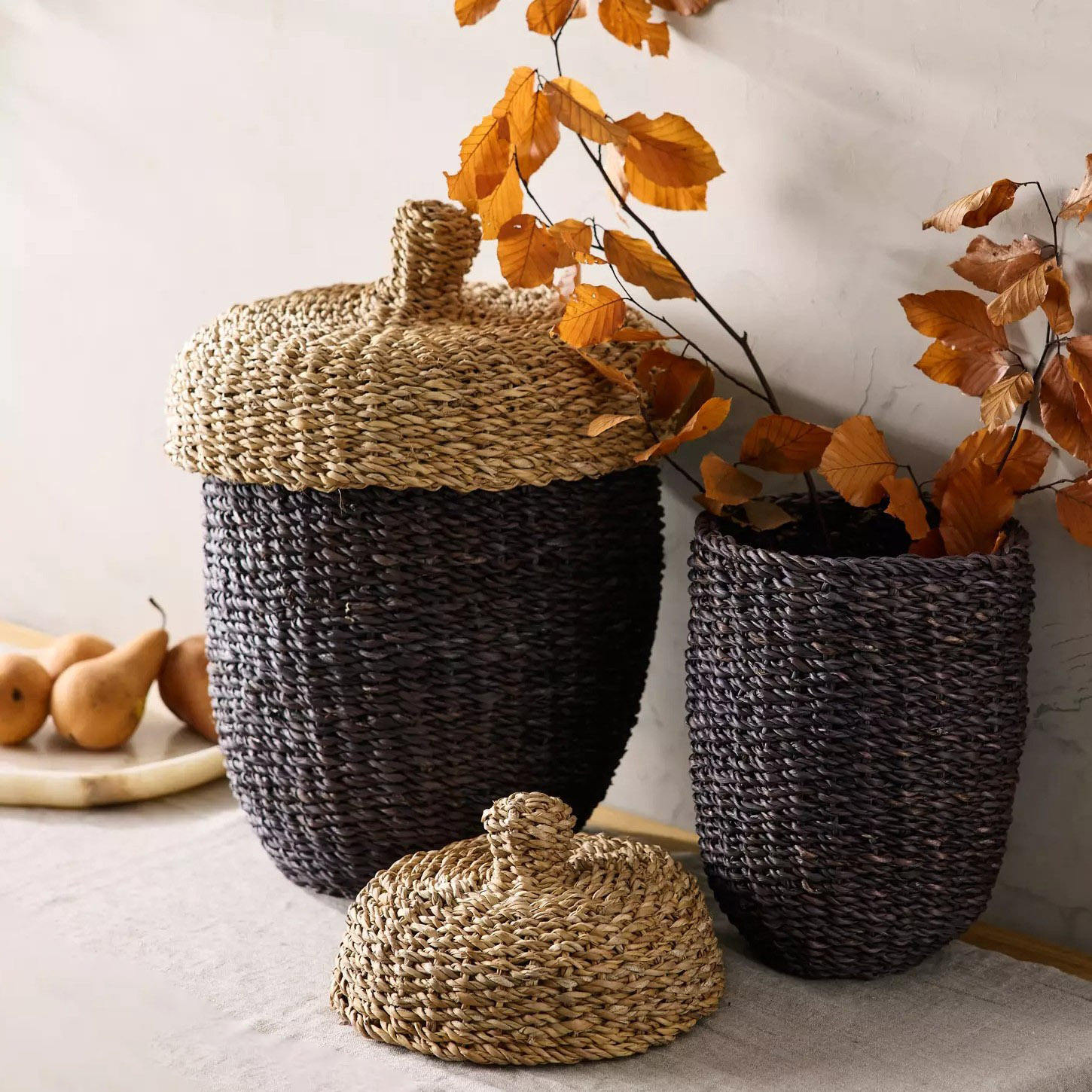 ธรรมชาติ