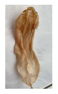 Meilleure vente Poisson séché Maw-L'un des poissons séchés les plus savoureux répond aux normes de haute qualité et d'exportation au Vietnam - Product Image 3