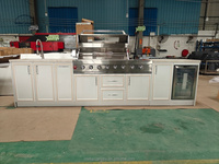 Meubles de cuisine extérieurs modernes en acier inoxydable écologiques avec portes vitrées, robinet, charnières, cuisinière et ensemble barbecue