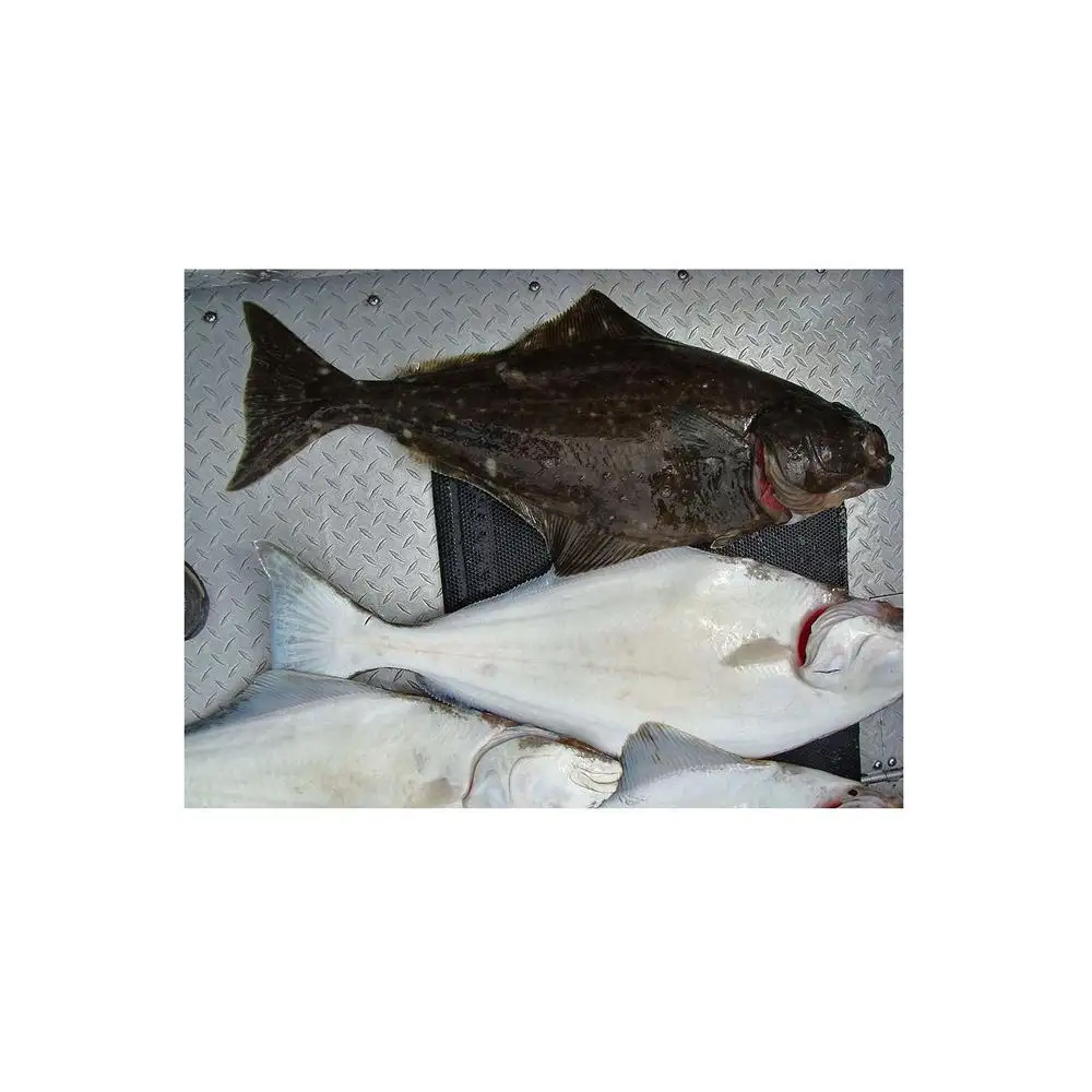 Trocken fisch aus Norwegen/Trocken fisch kopf/getrockneter gesalzener Kabeljau