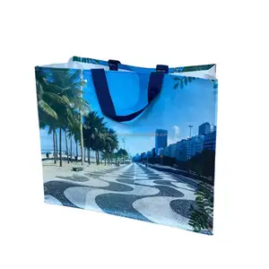 Özel tasarım Logo çanta süpermarket bakkal kullanımlık Pp dokuma butik taşıyıcı alışveriş hediye çantası moda kadın çantaları Shoppi