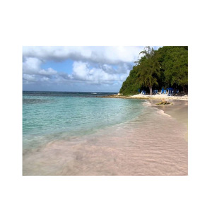 Prix Beech Long est parfait pour les projets de menuiserie haut de gamme disponibles à des prix abordables en gros Obtenez Beech Long pour une utilisation dans - Product Image 1