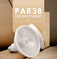 Lampu sorot LED Par30 hemat energi, lampu sorot bersertifikat UL putih hangat 15W 2025 K 3000