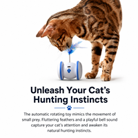 Jouet pour chat rotatif automatique, auto-motivant, rotation à 360°, plume interactive, LED rechargeable, jouet interactif pour animaux de compagnie, vente en gros