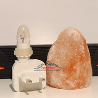 Lampe de sel rose de l'Himalaya sculptée à la main, rotative à 360°, avec prise, qualité supérieure, certifiée ISO, style Feng Shui, pour mur ou table