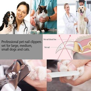 Coupe-ongles et coupe-ongles pour animaux de compagnie ensemble garde de sécurité pour éviter de trop couper rasoir lames tranchantes outil de toilettage pour tous les petits grands chiens - Product Image 3