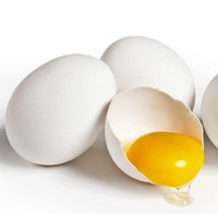 Telur Puyuh Putih dan Coklat yang Telah Dibaja, Bagian Kuning Telur Sehat, Telur Segar dari Peternakan, Telur Meja, 30 Telur, Telur yang Telah Dibaja dari NL, Umur Simpan 24 Hari