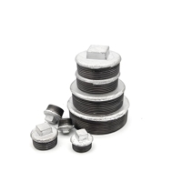 Raccord mâle en fonte malléable galvanisé DN25, filetage BS/NPT, spécial pour la lutte contre l'incendie et le CVC