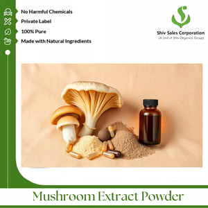 Poudre de champignon extrait naturel pur 100% pour une utilisation B2B dans les boissons énergisantes, les capsules et les préparations alimentaires salées - Product Image 3