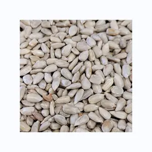 Non GMO Organic Bird Food Black Sunflower Seeds Premium Quality Wholesale Sunflower Seeds For Sale In Cheap Price High Quality S