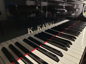 Piano de cola Kawai NX-50A en excelente estado, entrega rápida, acabado original elegante, teclas suaves, segunda mano, NX-50 NX50 - Product Image 2
