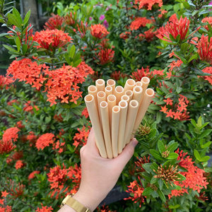 Eco-Friendly Bamboo Drinking <b>Straws</b> - Sustainable <b>Straws</b> for Wedding Decorations & Daily Use - Product Image 4