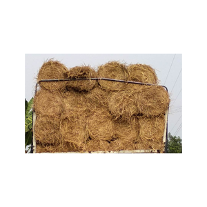 Paja de arroz para alimentación ANIMAL y producción de setas, producto prémium de Vietnam, el mejor precio en el mercado - Product Image 3