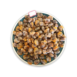 Operculo de concha marina para decoración de sustrato de acuario crea un entorno marino realista - Product Image 2