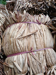 Jacinto de agua cruda natural de Vietnam: Jacinto de agua cruda para manualidades, eco-sostenible, a granel, de alta calidad, listo para la exportación - Product Image 4