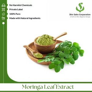 Fourniture industrielle de poudre d'extrait de Moringa pour les acheteurs internationaux dans la fabrication d'ingrédients alimentaires, de cosmétiques et de boissons - Product Image 2